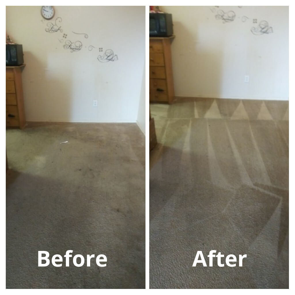 Roseville Carpet Cleaners Local Carpet Cleaners Infinity Carpet Care