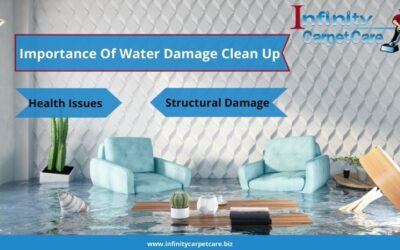 Importance Of Water Damage Clean Up