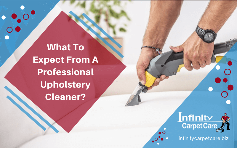 What To Expect From A Professional Upholstery Cleaner
