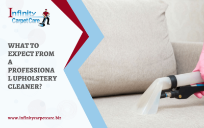 What To Expect From A Professional Upholstery Cleaner?