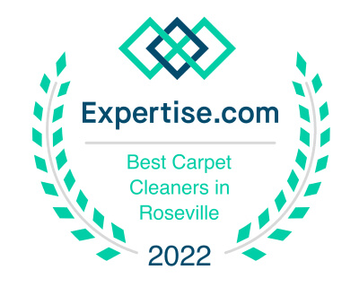 Best Carpet Cleaners in Roseville