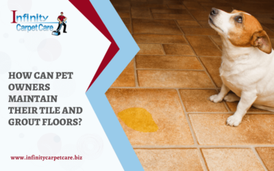 How Can Pet Owners Maintain Their Tile And Grout Floors?