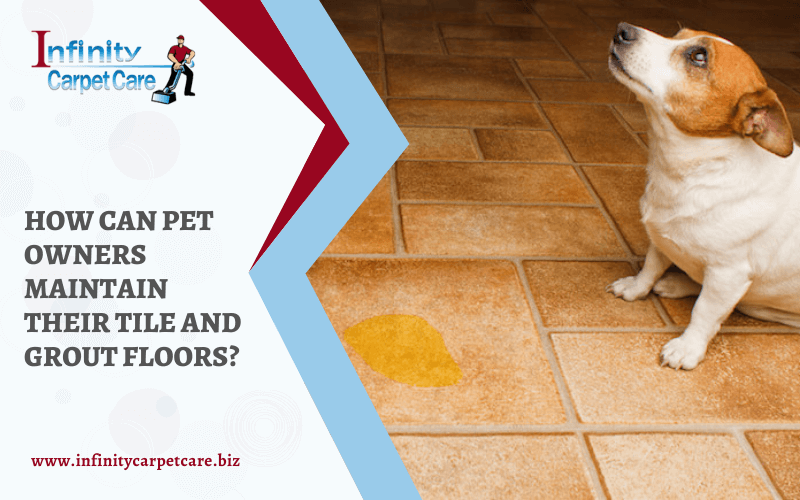 How Can Pet Owners Maintain Their Tile And Grout Floors_