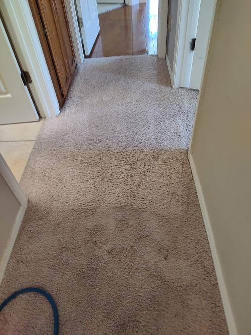 Carpet Cleaning before-after