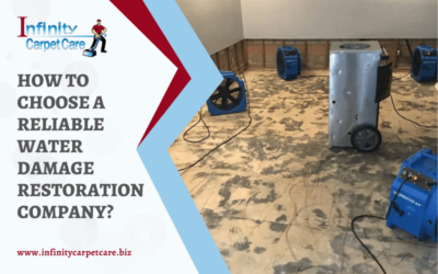 How To Choose a Reliable Water Damage Restoration Company?