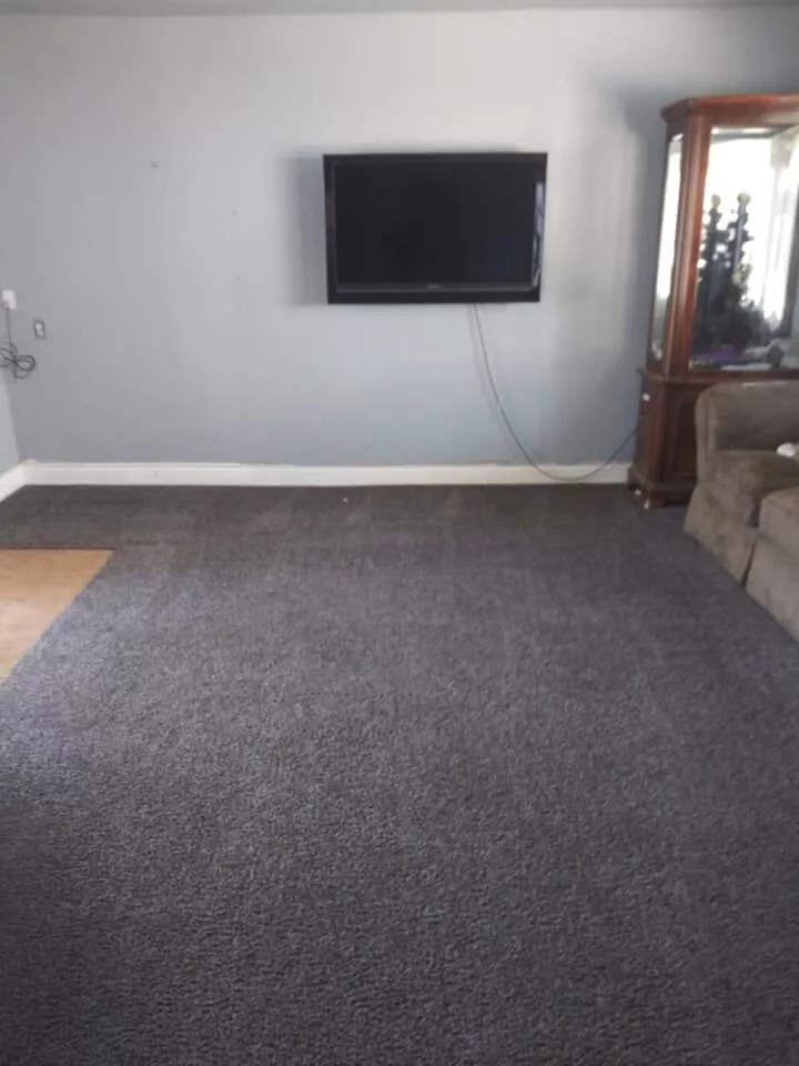 Carpet cleaning after - revived, fresh, and spotless