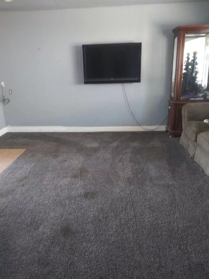 Before carpet cleaning - stained and dirty carpet