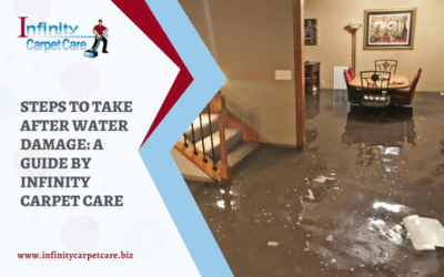 Steps To Take After Water Damage: A Guide By Infinity Carpet Care