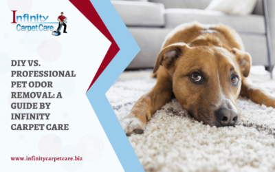 DIY vs. Professional Pet Odor Removal: A Guide by Infinity Carpet Care